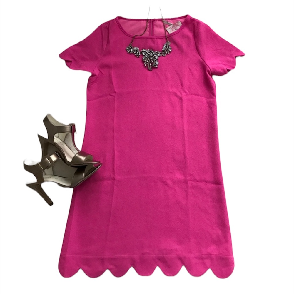 NWT Pink scallop shift dress